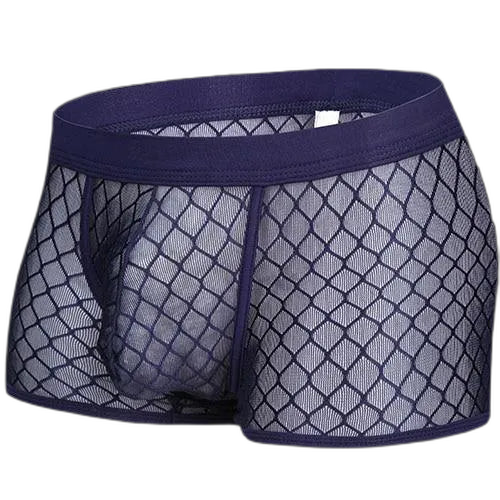 Transparent Mesh Boxers