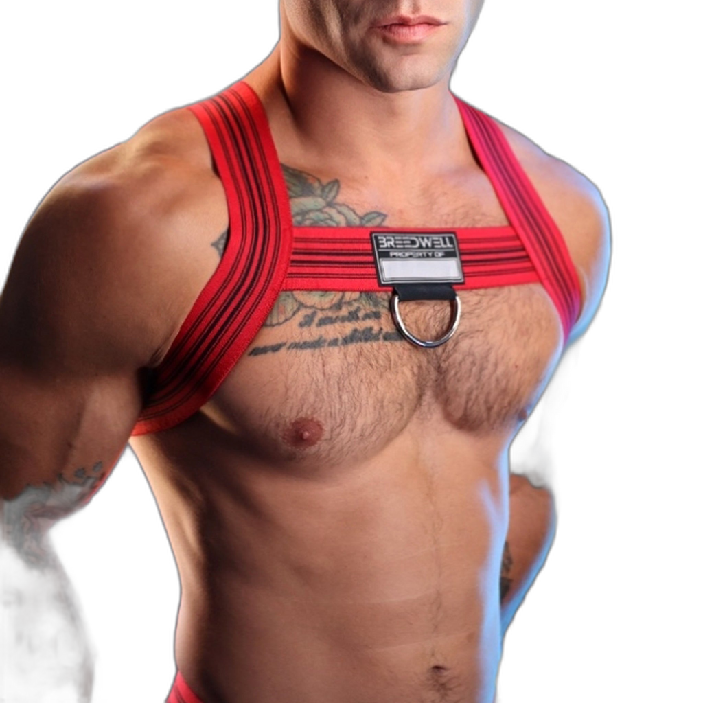Breedwell Cumdump Bulldog Harness Red