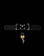 Silicone Restraint Connector with Padlock