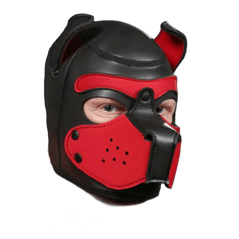 Mr S Leather NEOPRENE Puppy Hood | Black & Red
