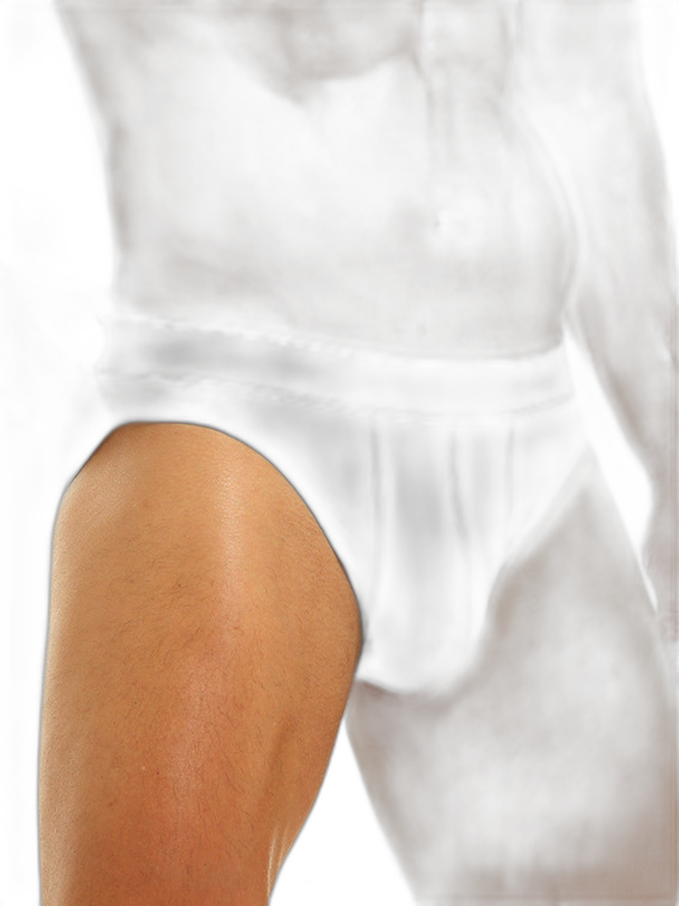 4 Pack Ice Silk Seamless Men's Briefs