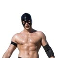 Gloss Hood Mask
