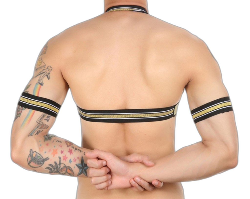 Gold Glitter Harness