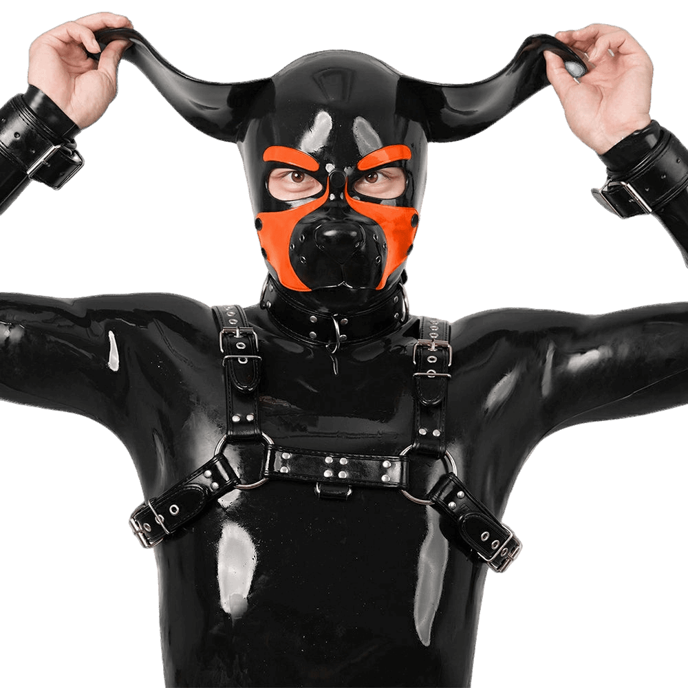 Furrjoi Silicone Beagle Hood Orange