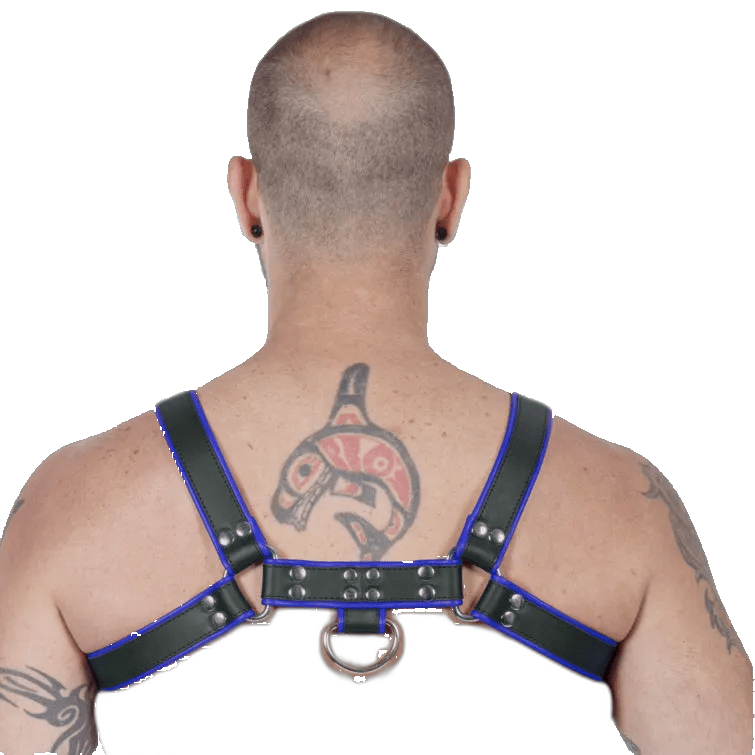 Titus H-Front Leather Chest Harness | Black & Blue