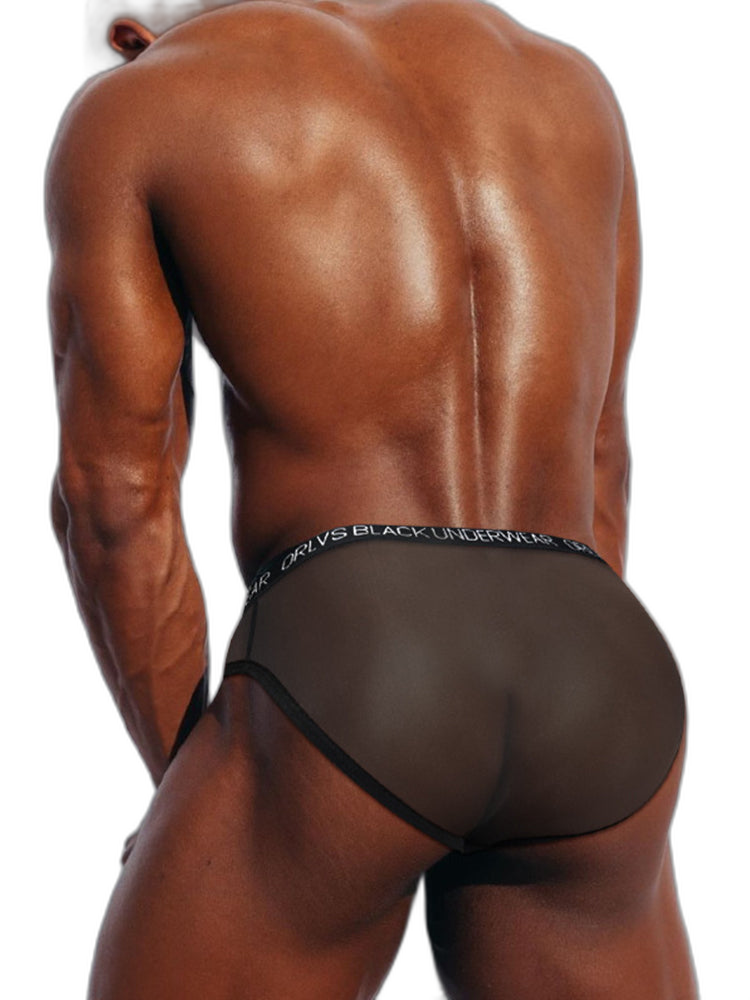 2-Pack Breathable Low Waist U-Convex Semi-Transparent Men's Briefs