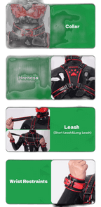 Furrjoi Harness, Cuff, Collar, Lead Underwear Bundle Red
