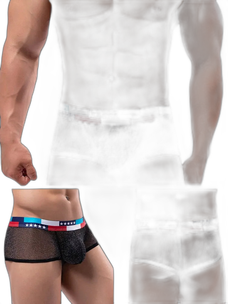 4-pack Low-rise Micro-mesh Boxer Briefs