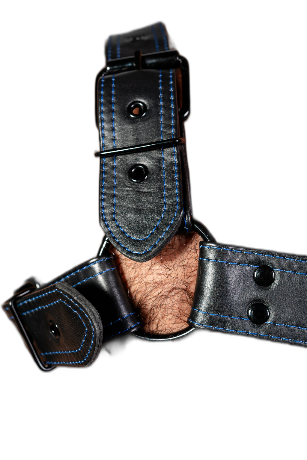 ruff GEAR RAW  Leather Bulldog Harness Black Royal