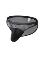 2 Pack Men's Seductive Mesh Sheer Briefs