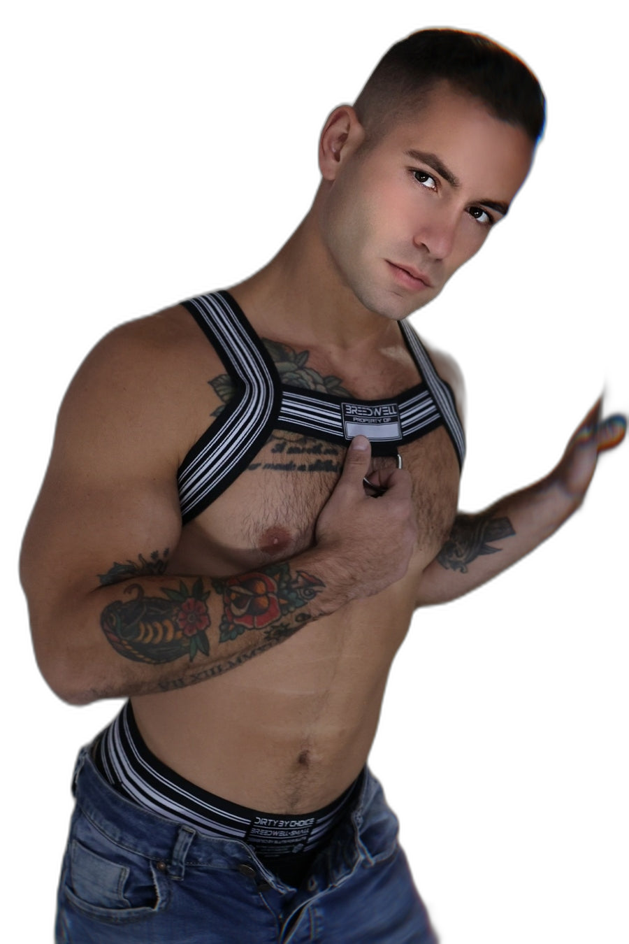 Breedwell Cumdump Bulldog Harness Black