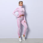 3PCS Yoga Outfit Gym Leggings Sports Bra Tracksuit