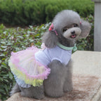 Cupcake Tutu Dress