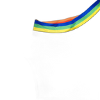 Rainbow Stripe Stretch Thong Bodysuit