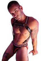 Breedwell Gymnetixxx Body Harness Red