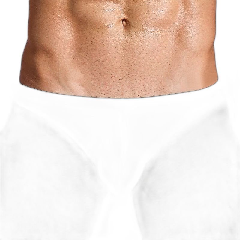 Essentials Ice Silk Briefs