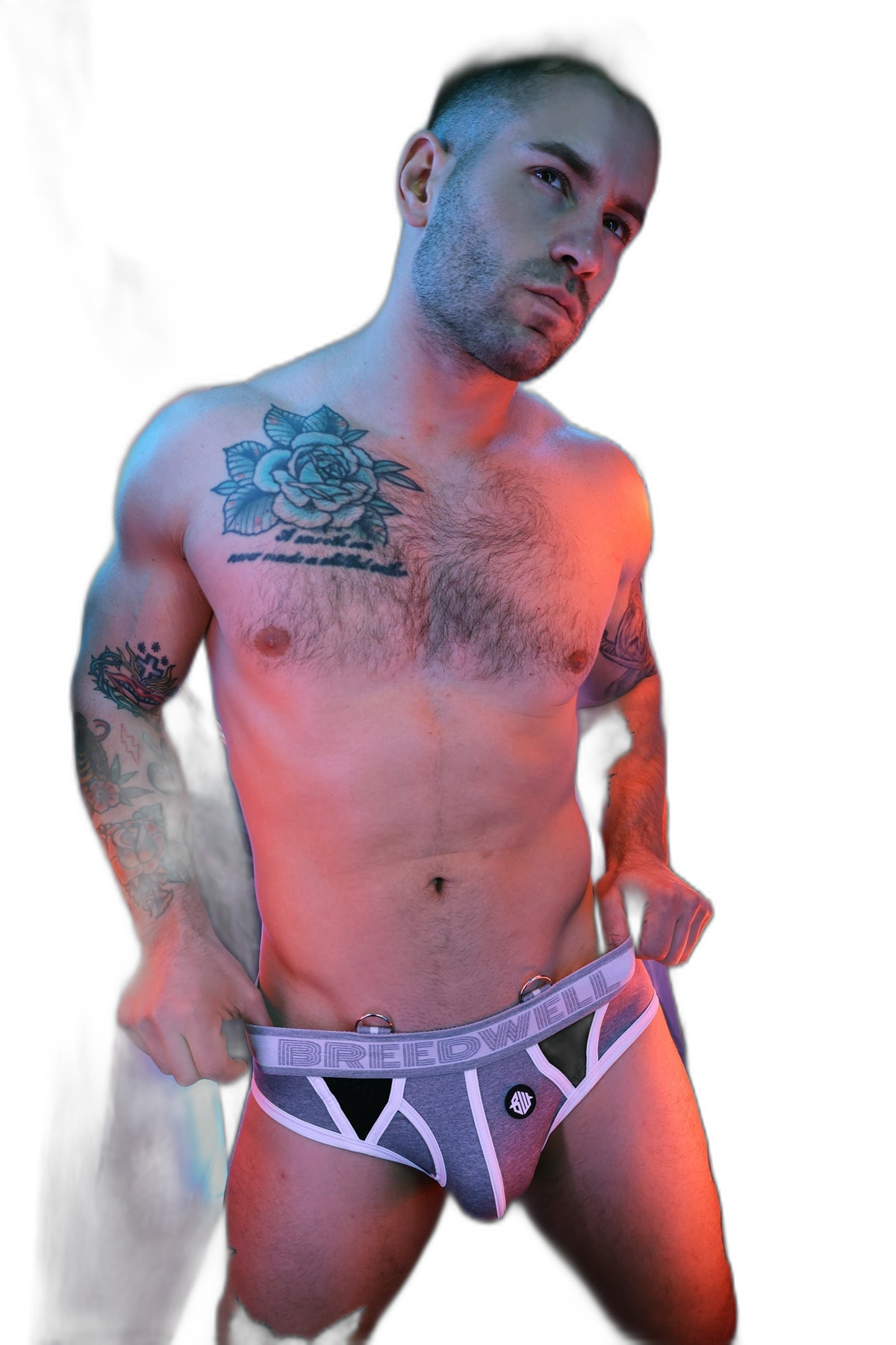 Breedwell Retro Remix Briefs Heather Grey