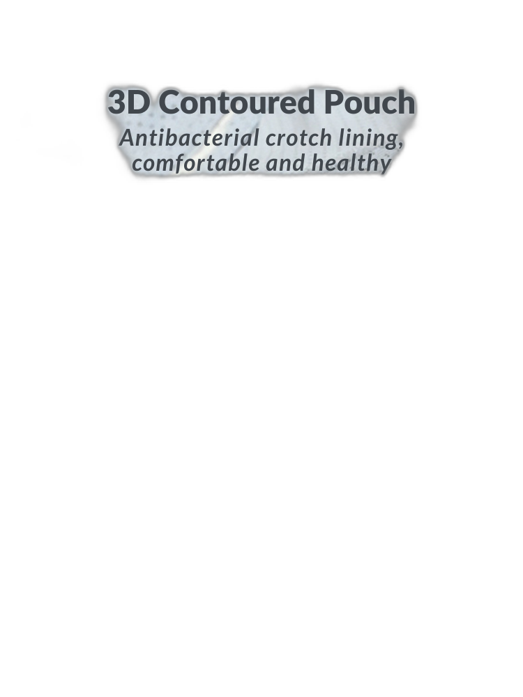 4 Pack Men's Large Pouch Separation Ice Silk Briefs