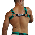 Breedwell Daddys Favourite Bulldog Harness Green