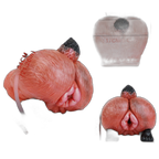 Reynard - Male Masturbator - Fantasy Butt Stroker
