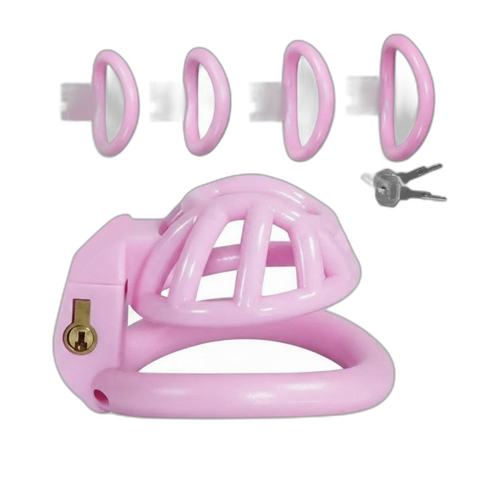 PushTech Chastity Cage With 4 Ring Sizes