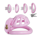 PushTech Chastity Cage With 4 Ring Sizes