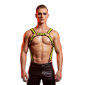 Fusion Shoulder Strap Metallic Buckle Harness