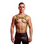Fusion Shoulder Strap Metallic Buckle Harness