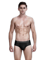 4 Pack Breathable Ice Silk Antibacterial Men's Briefs
