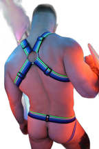 Breedwell Retro Remix Harness Blue