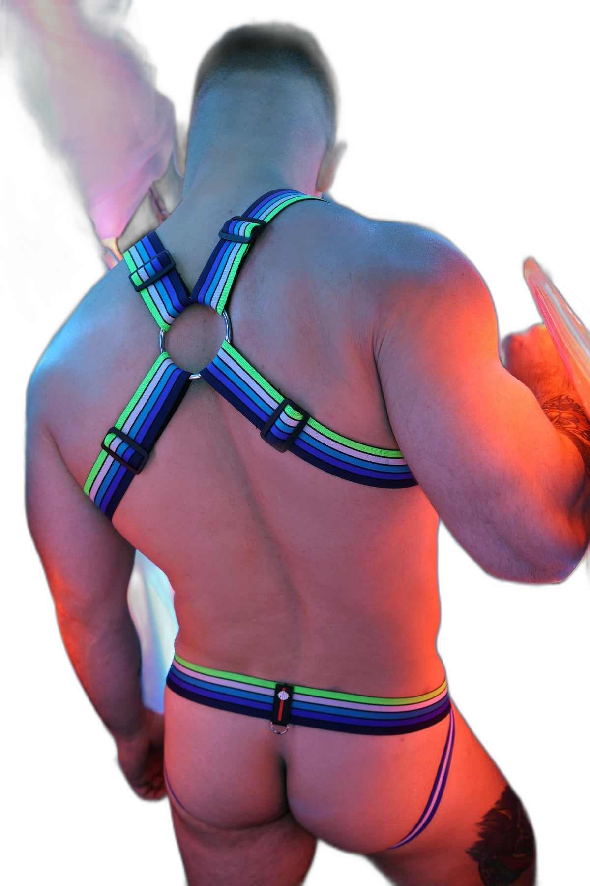 Breedwell Retro Remix Harness Blue