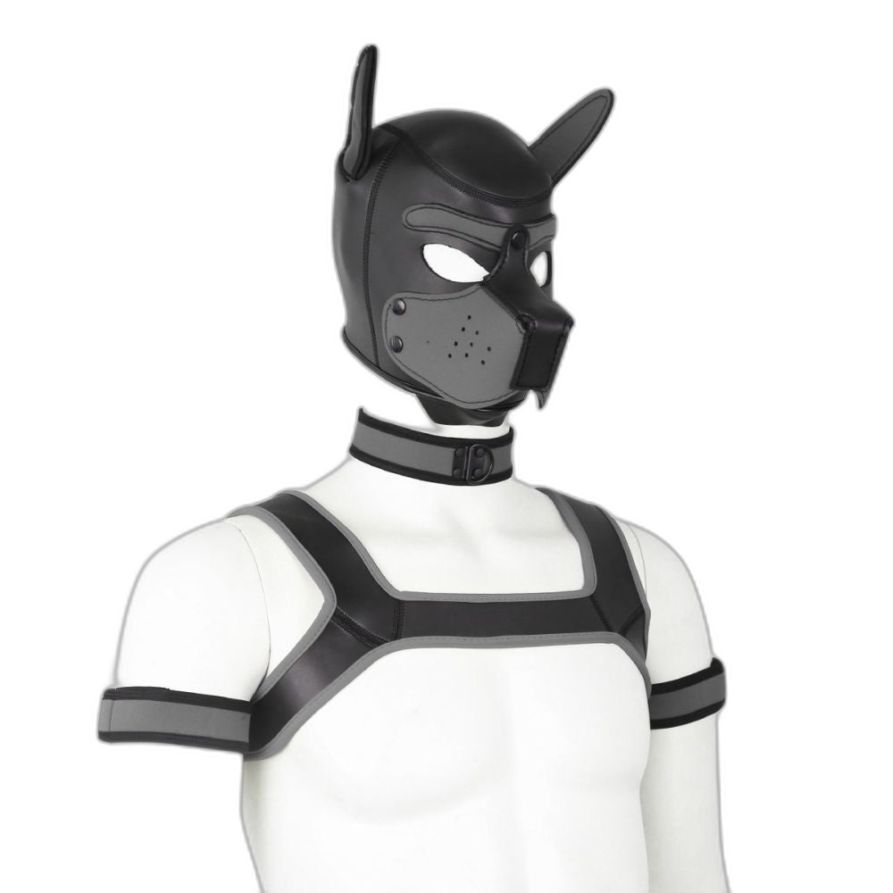 Beta Puppy Play Set - Pup Hood & BDSM Collar & Chest Harness