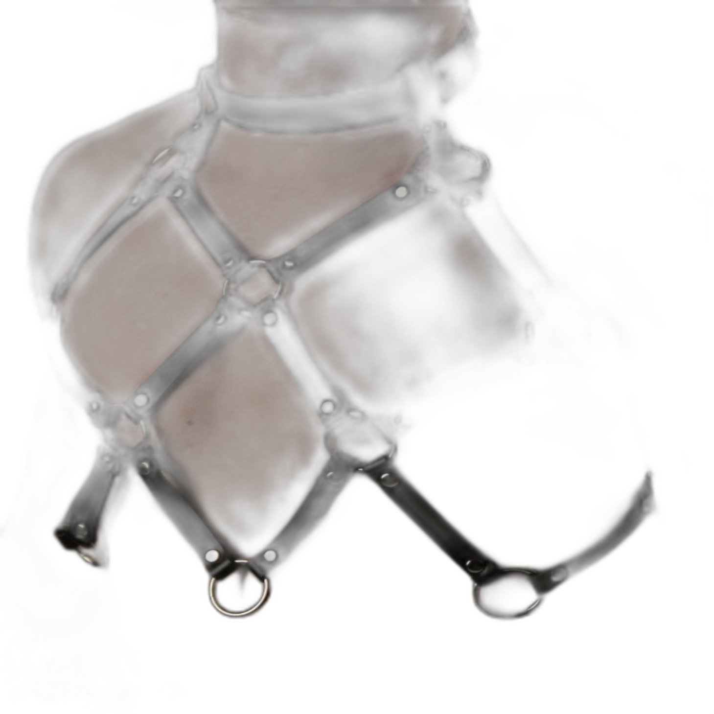 Reversible Leather Grid Lattice Harness