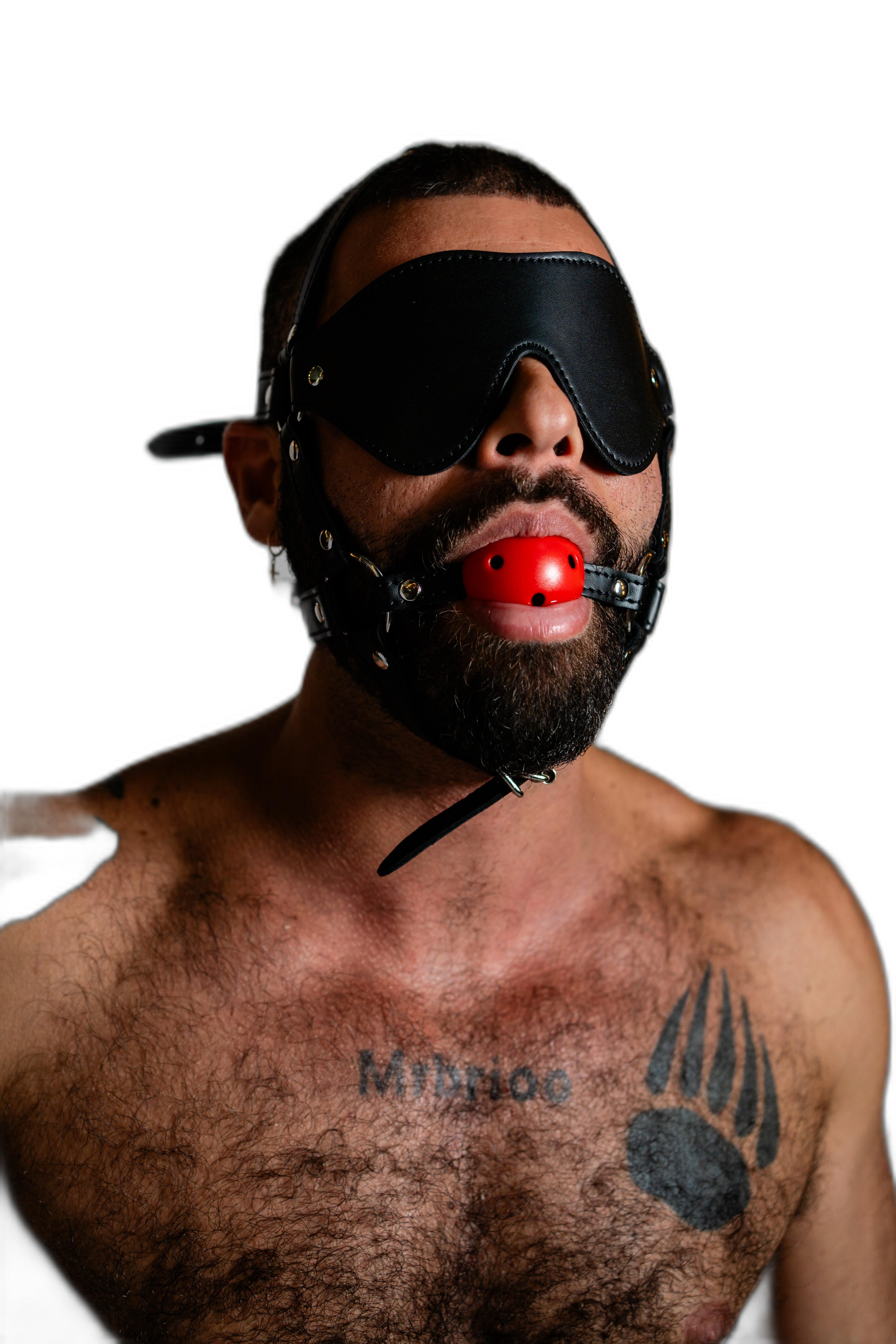 ruff GEAR Rein Harness with Breathable Ball Gag