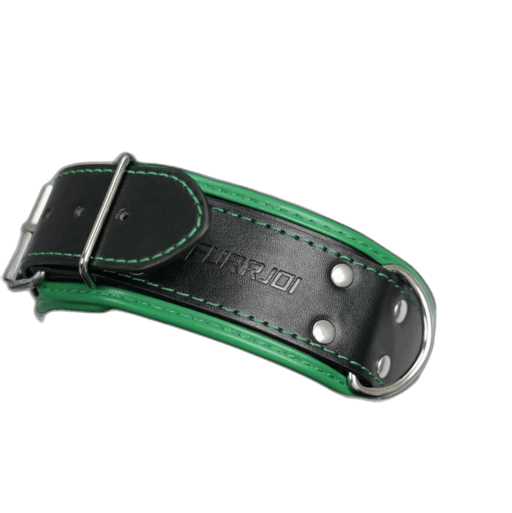 Harness, Cuff, Collar Bundle Green