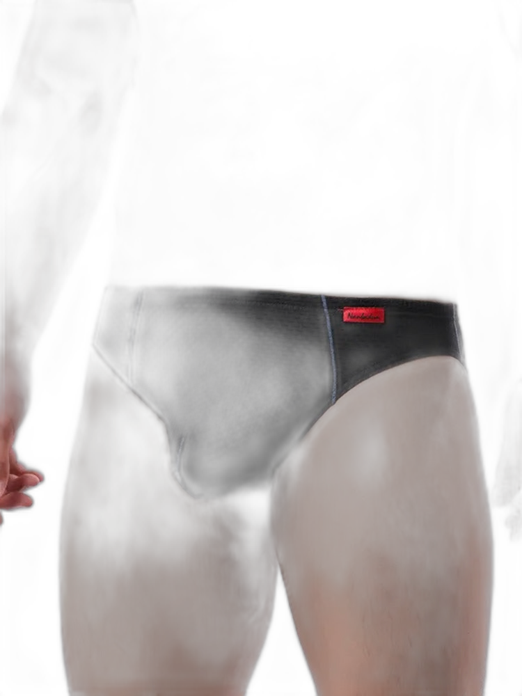 3 Pack Men's Nylon Plaid Lift Hip Briefs Triangle Briefs