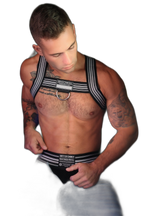 Breedwell Cumdump Bulldog Harness Black