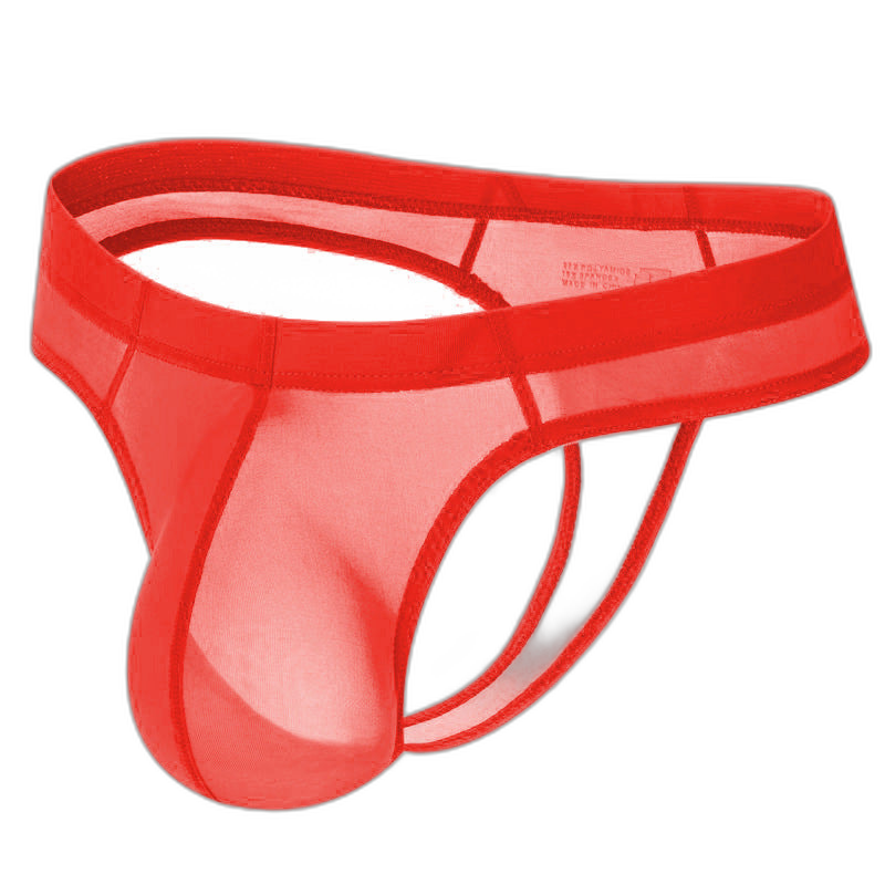 Ultra Silk Thong