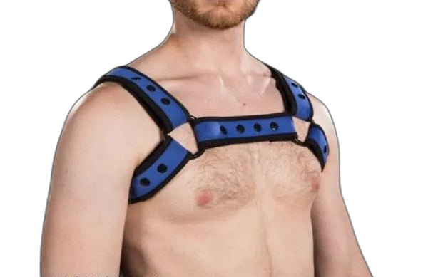 Mr S Leather Neoprene Bulldog Harness | Blue