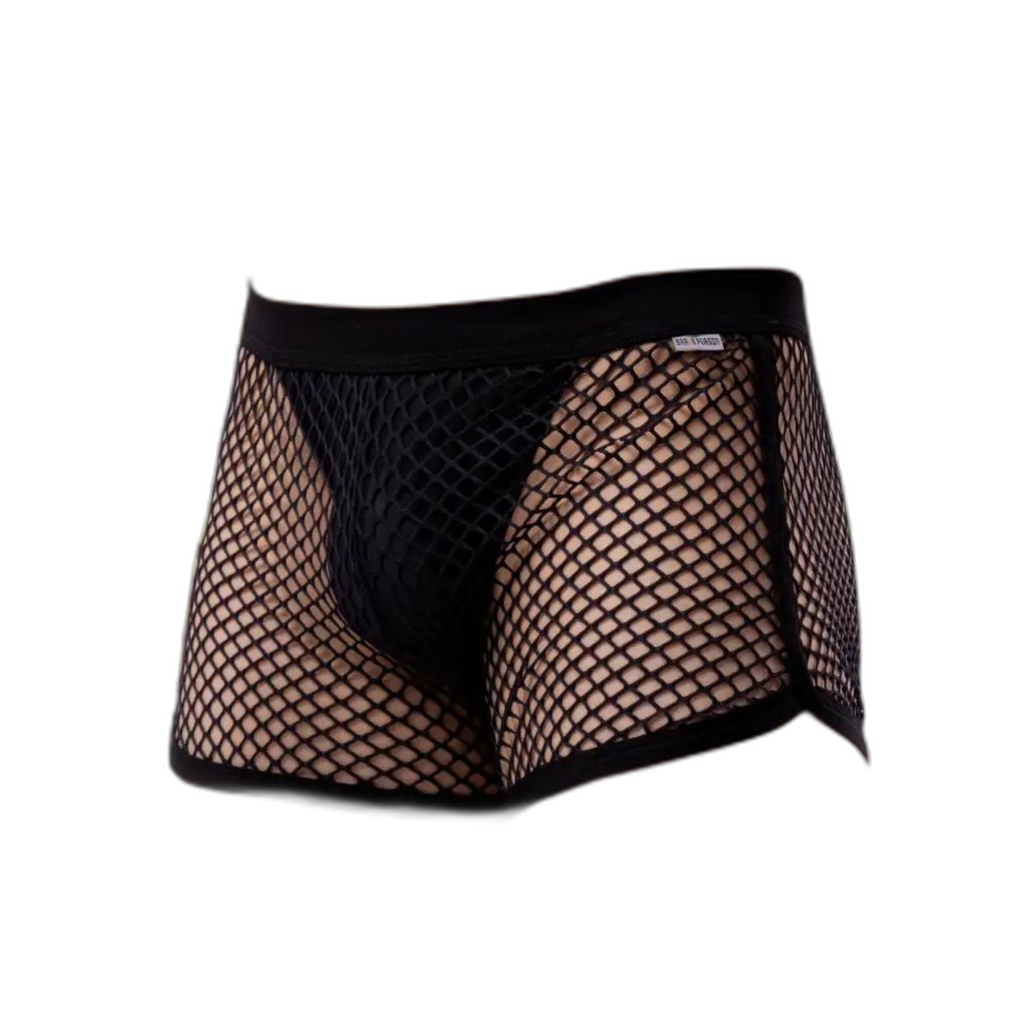 AllureFit Sexy Mesh Boxers Briefs