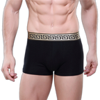 Olympus Boxer Briefs