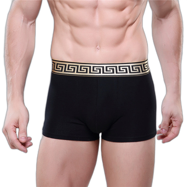 Olympus Boxer Briefs