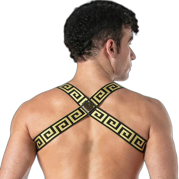 Leader Invictus Harness | Black Gold