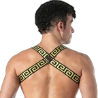 Leader Invictus Harness | Black Gold