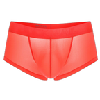 Transparent Silky Boxer Briefs