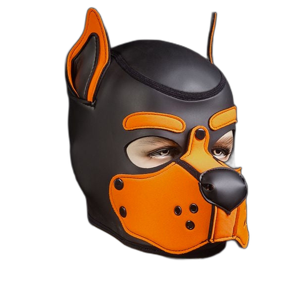 Mr S Leather Neoprene K9 Puppy Hood | Black/Orange