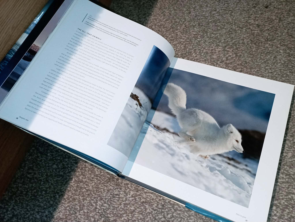 BOOK : FROZEN PLANET (ripped cover)