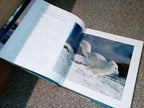 BOOK : FROZEN PLANET (ripped cover)