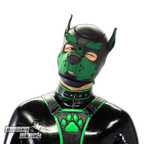 Standard Neoprene Pup Hood