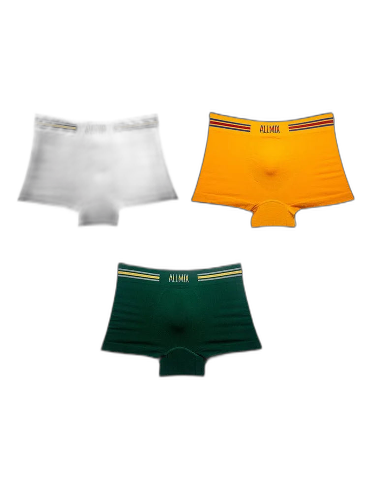 3 Pack Low Waist Boxers Briefs